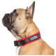 Trespass Κολάρο σκύλου Scooby Dog Collar